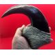 Utahraptor ostrommaysi, slashing claw reconstruction