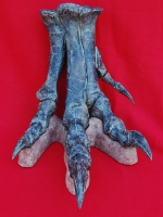 Allosaurus foot with base