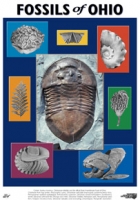 Fossils of Ohio, poster
