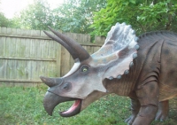 Triceratops Statue Model 14 Foot Life-Size, Life-Like RENTAL