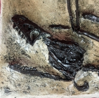 Bambiraptor feinbergi Skeleton, In Situ