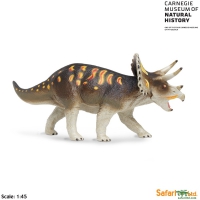 Triceratops, life-like model